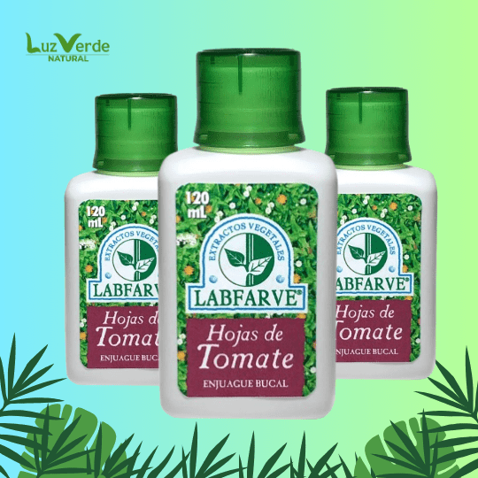 ENJUAGUE DE HOJAS DE TOMATE